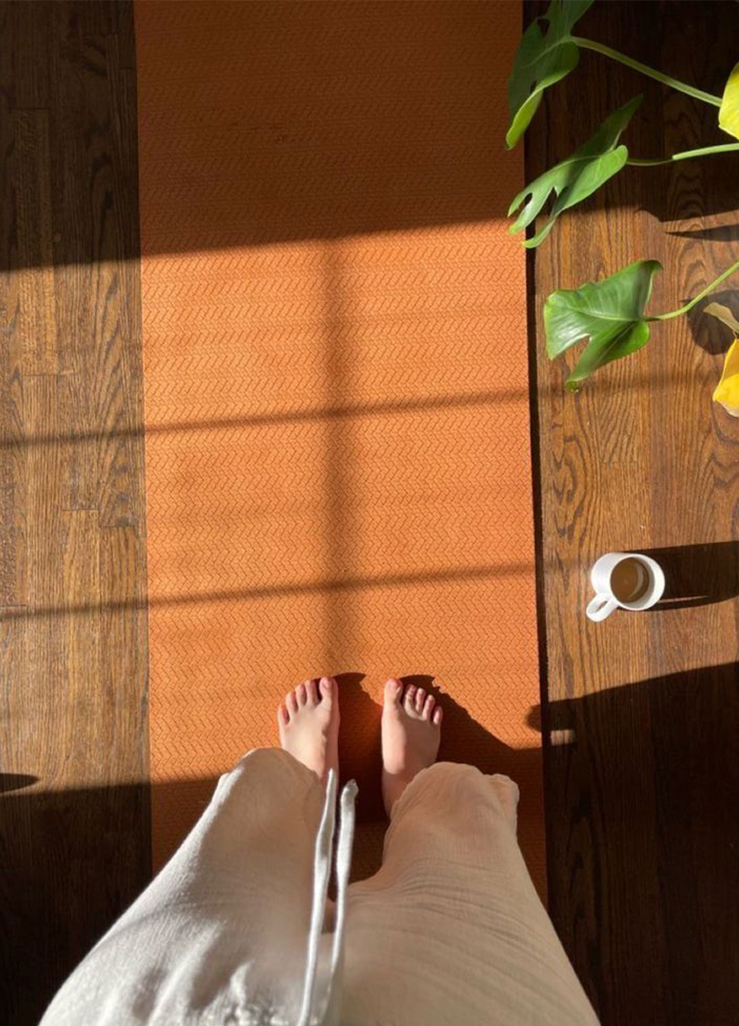 Mesa de trabajo 2